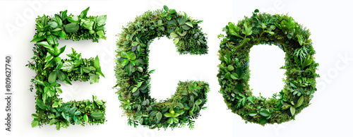 eco text e c o letter made of green leaves, concept of design element symbol icon logo for sustainable ecological business ecolabel