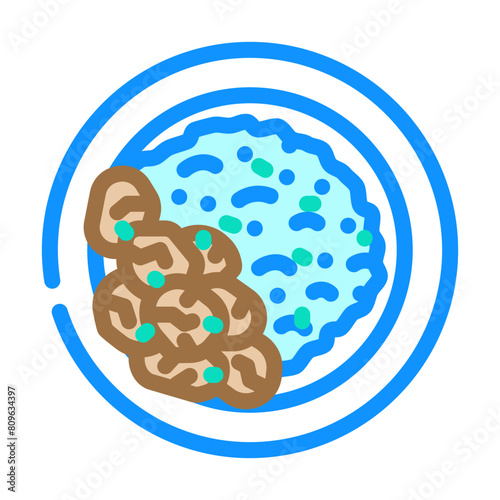 curry dish indian cuisine color icon vector. curry dish indian cuisine sign. isolated symbol illustration