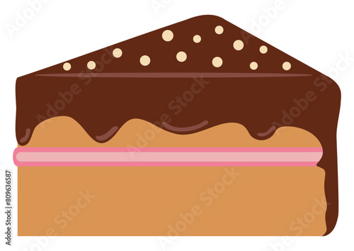 Piece of tasty chocolate sweet cake