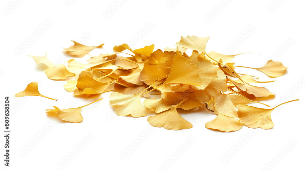Sprinkle Ginkgo Leaves isolated on a transparent background Sprinkle Ginkgo Leaves isolated on a transparent background