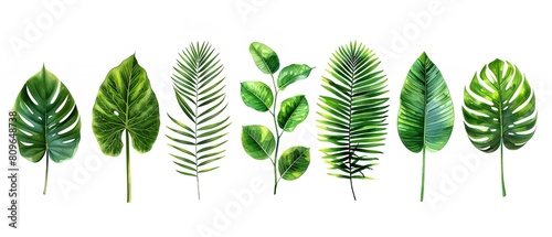 Combination of tropical plants green foliage Tree Monstera, Palm, Rubber plant, pine and bird's nest fern together with space for advertising, Generative AI.