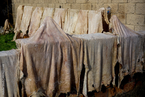 Leather tannery alutation process drying leather in the sun close up view