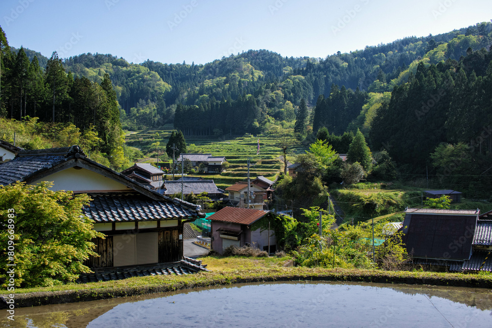 Fototapeta premium 滋賀県高島市の畑地区の水田と初夏の風景です
