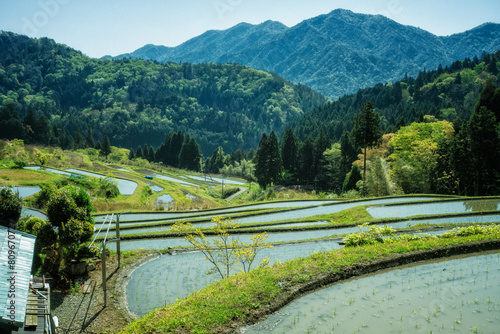滋賀県高島市の畑地区の初夏の棚田です