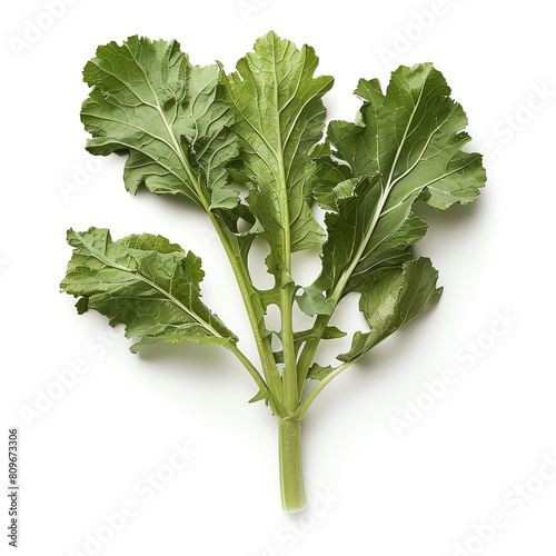 Rapini is a leafy green vegetable with a slightly bitter taste photo