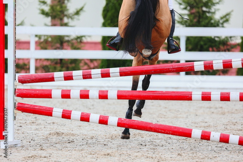 Horse Jumping, Equestrian Sports, Show Jumping themed photo. Macro. Red and white hurdle. Bay horse jump and land photo