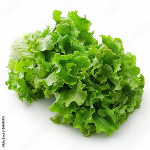 Fresh and crisp lettuce. Perfect for salads and sandwiches! photo