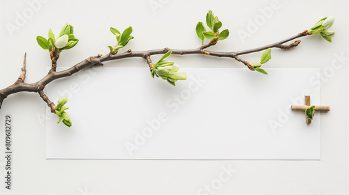 The first spring shoots on an empty branch with a sheet of paper for text with a wooden pin isolated on a white background photo