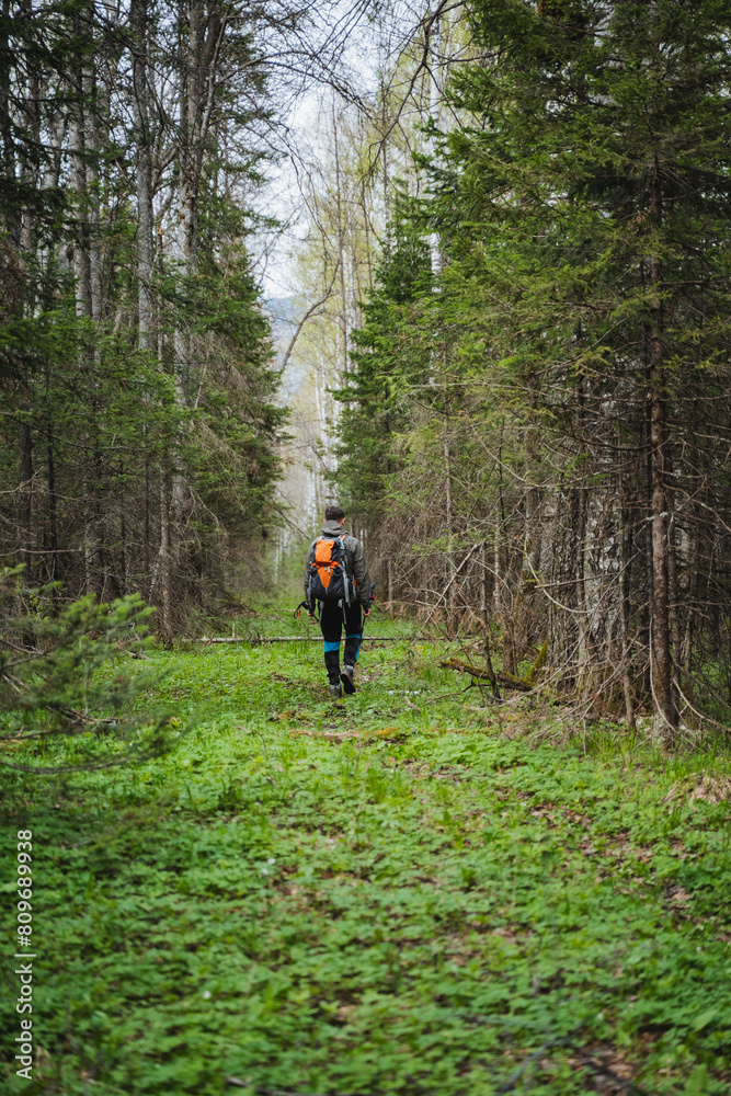 Individual with backpack strolling in woodland amidst trees and plants