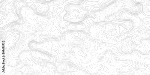 Vector topographic map background. Business concept. Seamless pattern with White sea map and topographic contours map background. Abstract vector illustration. 