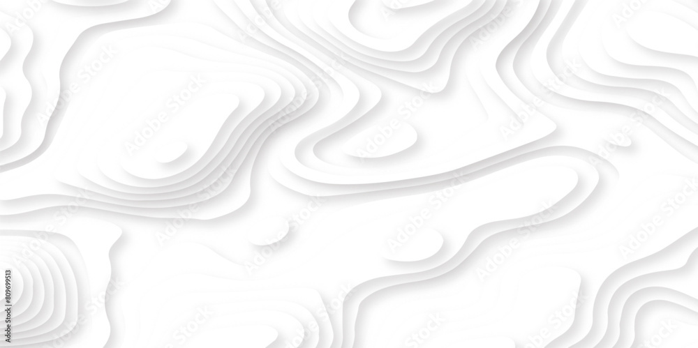 Abstract wavy line paper cut white background. Topographic canyon geometric map relief texture with curved layers and shadow. Papercut topography relief vector background Abstract wavy line paper cut white background. Topographic canyon geometric map relief texture with curved layers and shadow. Papercut topography relief vector background