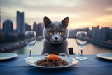 Environmental portrait photography of a smiling russian blue cat begging for food in stunning skyline