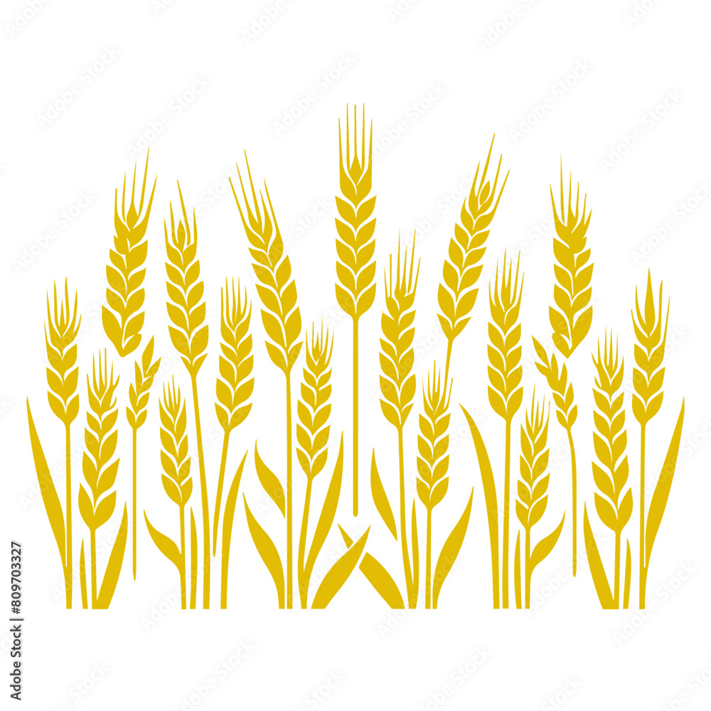 Wheat ear icon vector Wheat ear icon vector