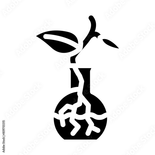 plant propagation urban gardening glyph icon vector. plant propagation urban gardening sign. isolated symbol illustration