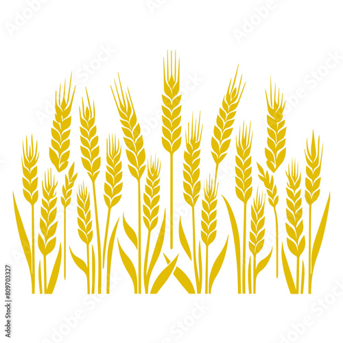 Wheat ear icon vector