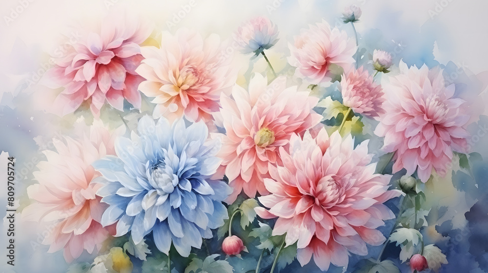 Field of dahlia blooming flowers under a blue sky, watercolor illustration.