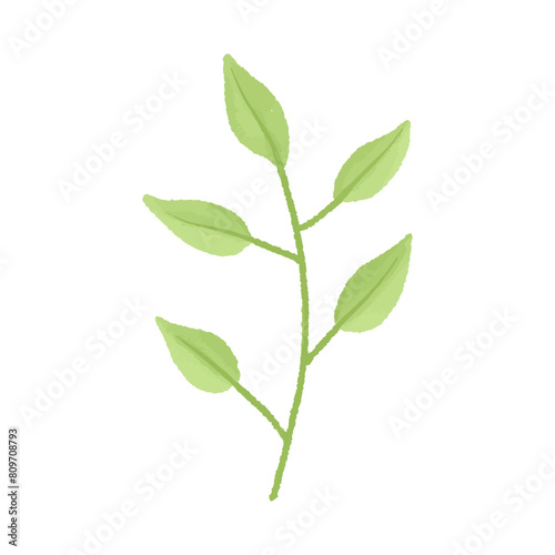 Watercolor vector illustration of a leaf in childish style.