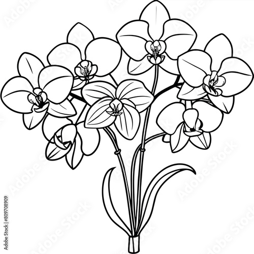 Orchid flower outline illustration coloring book page design, Orchid flower Bouquet black and white line art drawing coloring book pages for children and adults
