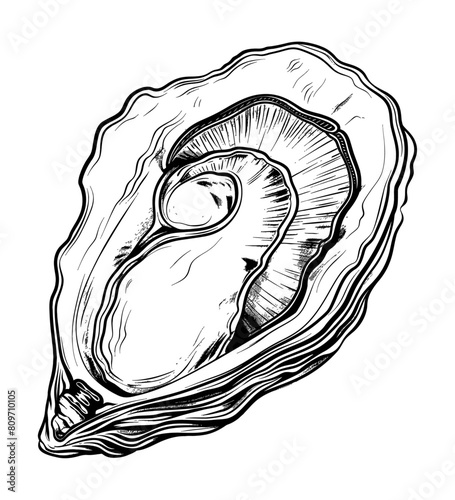 oyster engraving black and white outline