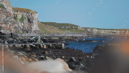 Withered cliffs covered with dry grass and moss tower above the shoreline. Waves roll and crass on the dark stones.