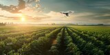 Drone over farmland with soil moisture monitoring, yield problems and send information to smart farmers. High technology innovations to increase agricultural productivity.