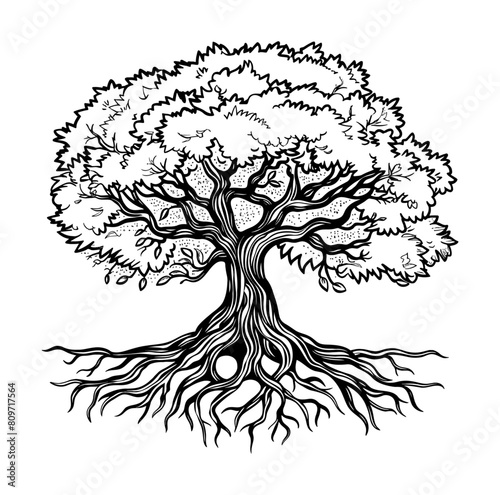 tree root engraving black and white outline