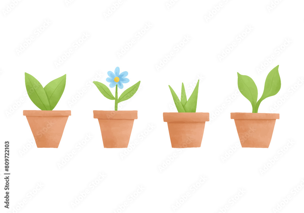 Fototapeta premium Set of watercolor vector illustrations of plants in a pots.