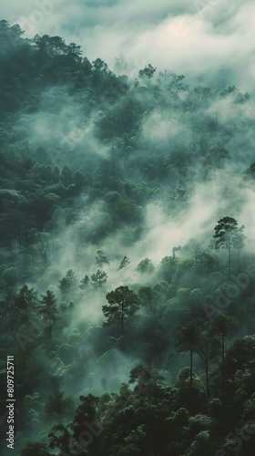 Ethereal cloud forests shrouded in mist