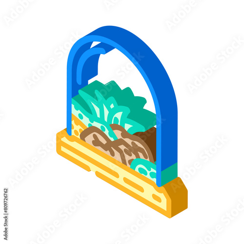terrarium urban gardening isometric icon vector. terrarium urban gardening sign. isolated symbol illustration