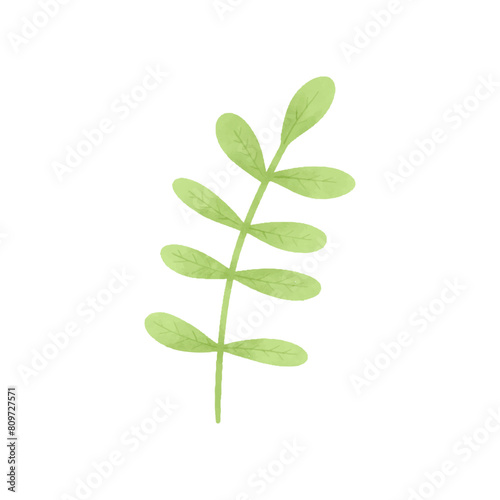 Watercolor vector illustration of a seaweed in childish style.