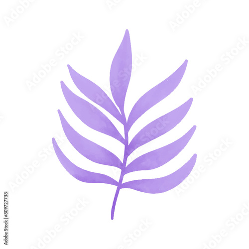 Watercolor vector illustration of a seaweed in childish style.