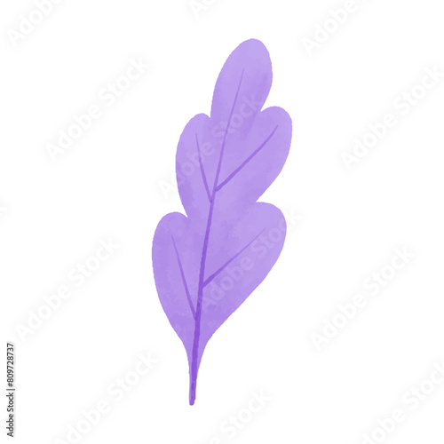 Watercolor vector illustration of a seaweed in childish style.