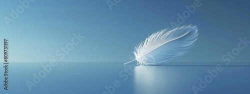 3D rendered bird costume in minimalist style with a single feather, sky blue background for a sense of freedom.