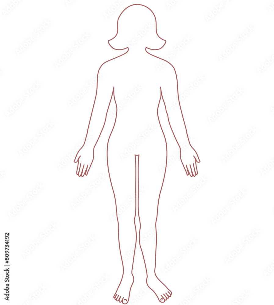 Fototapeta premium Drawing of the outline of the human body