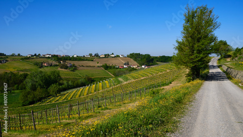 Obraz na płótnie Foto scattata nelle colline attorno a Tassarolo (AL) nel periodo primaverile. w salonie