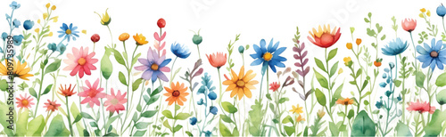 Wallpaper Mural Wildflowers in watercolor illustration isolated on white background4 Torontodigital.ca