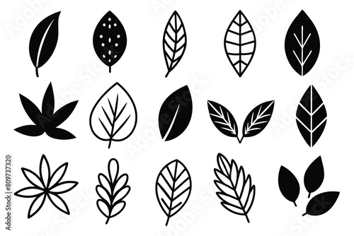 Doodle Leaves Collection Set vector design