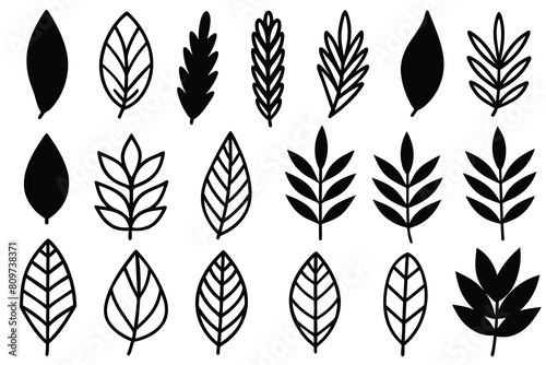 Doodle Leaves Collection Set vector design © mobarok8888