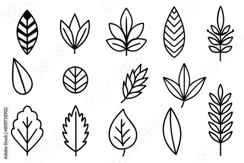 Doodle Leaves Collection Set vector design