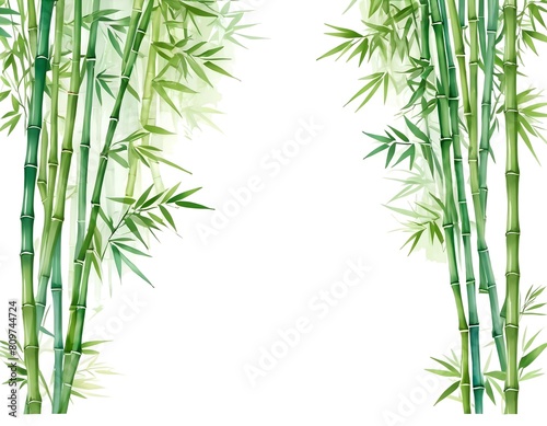 Bamboo frame border blank invitation3