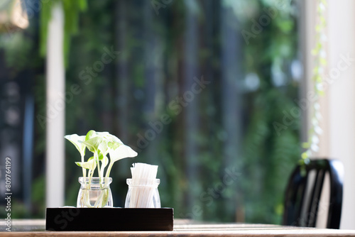 Small plants in glass jars and toothpicks on the table ,The interior of the restaurant on the morning bokeh light background