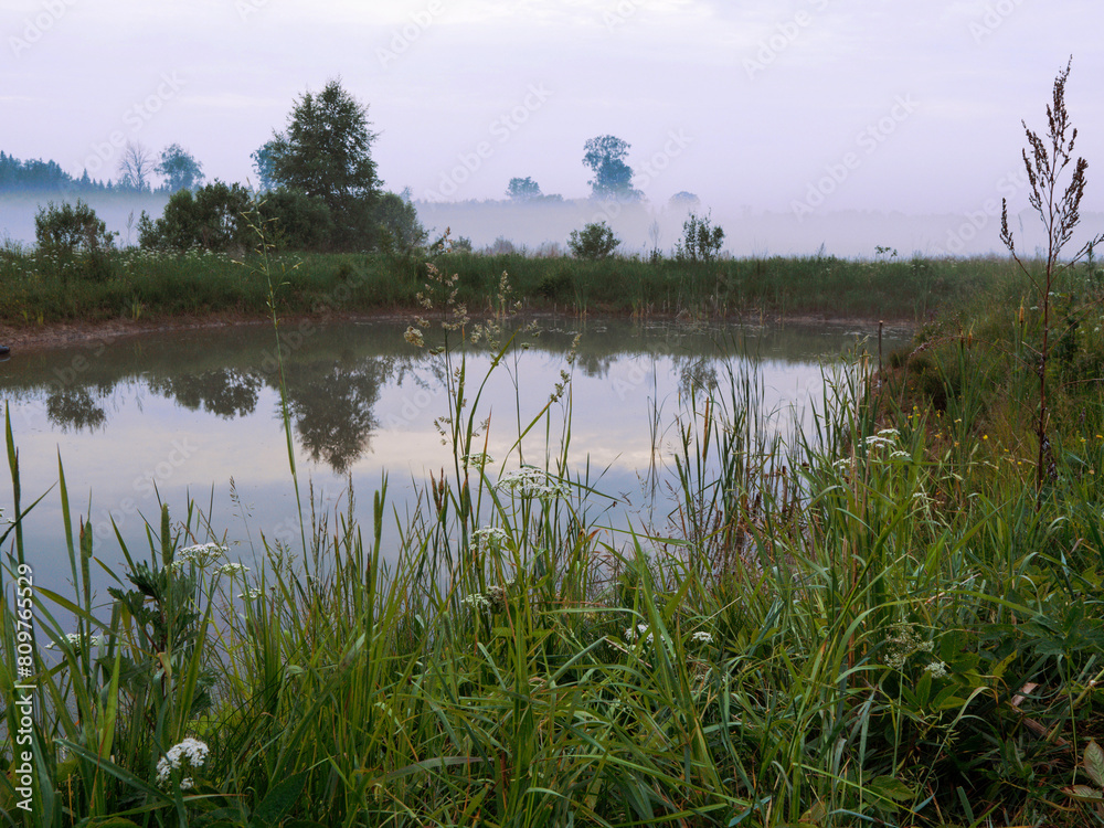 Small lake in a field and fog and forest in the background. Sky reflection in calm still water surface green tall grass in foreground. Cool and peaceful nature mood before sunset. Nobody. Small lake in a field and fog and forest in the background. Sky reflection in calm still water surface green tall grass in foreground. Cool and peaceful nature mood before sunset. Nobody.