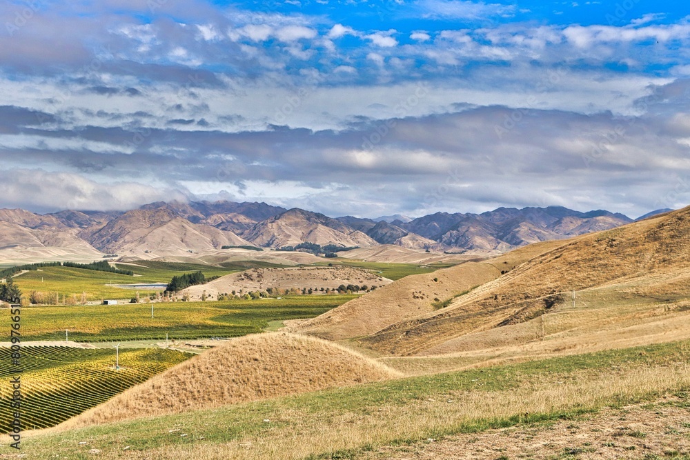 Obraz premium New Zealand