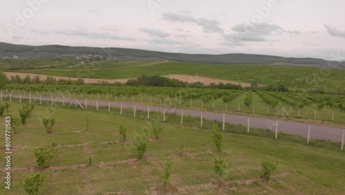 sports car driving down the road, drone footage