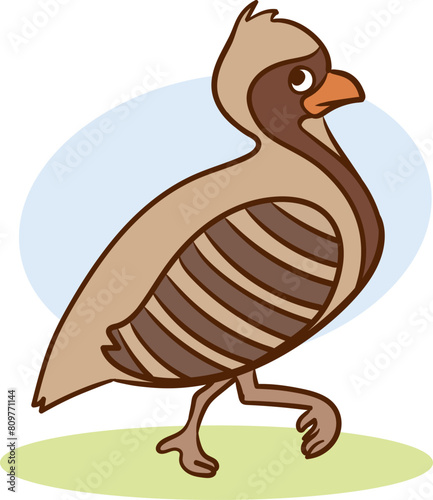 Funny cuty brown california quail vector sticker or icon isolated on white. Wild partridge bird illustration outlined with dotted line for game counters, kids books photo