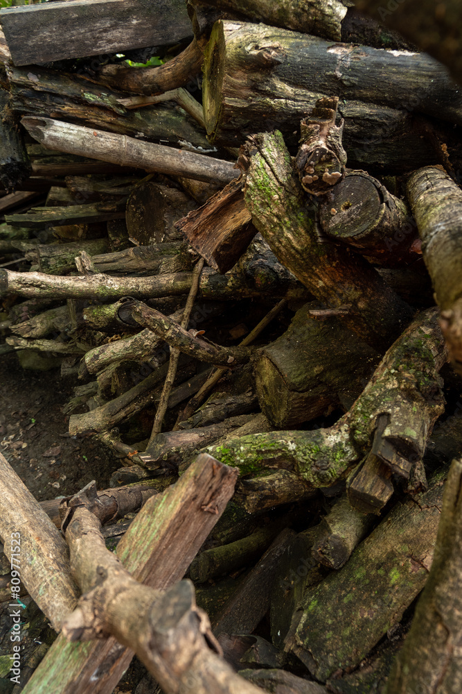 pile of firewood