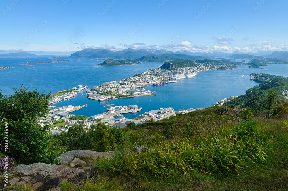 Obraz premium A scenic overlook captures a vibrant coastal town surrounded by lush greenery and the tranquil ocean.