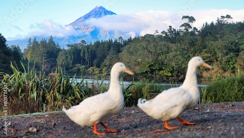 New Zealand