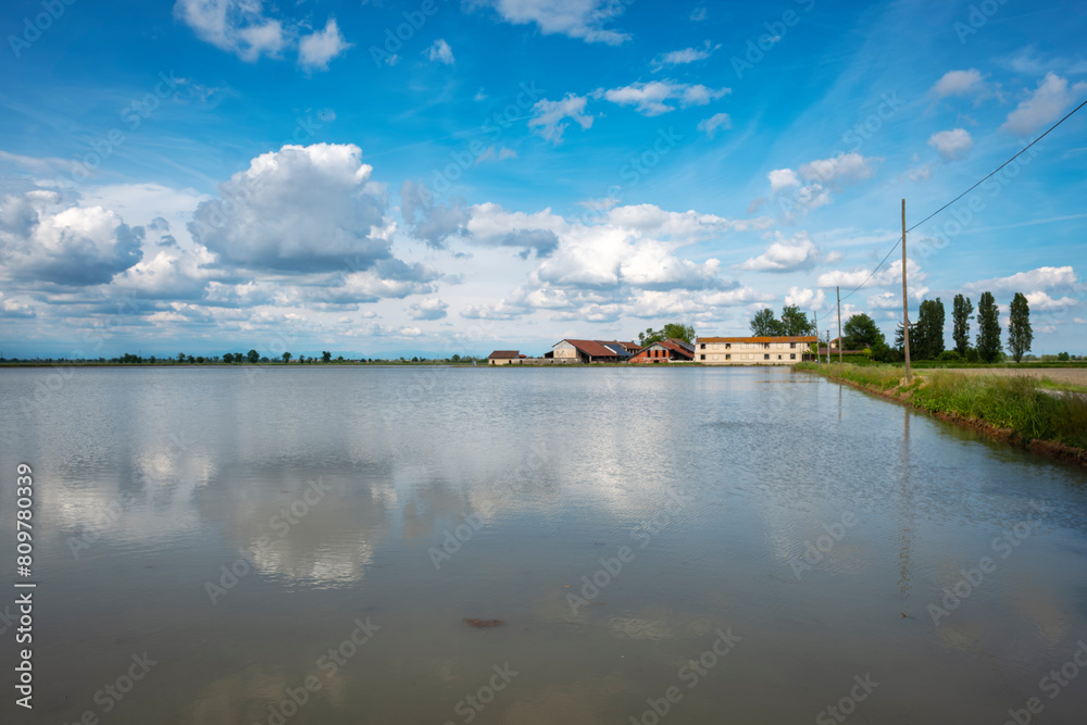 Naklejka premium Springtime panorama of paddy fields, flooded by water, in the countryside area of Novara and Vercelli Provinces.