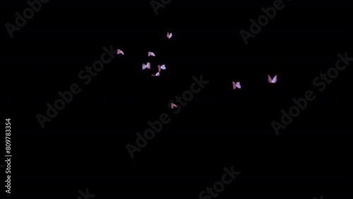 Fluttering little butterflies on a black background